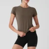 All Day Short Sleeve - Olive Tree