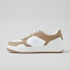 Alo Recovery Mode Sneaker - Gravel/White