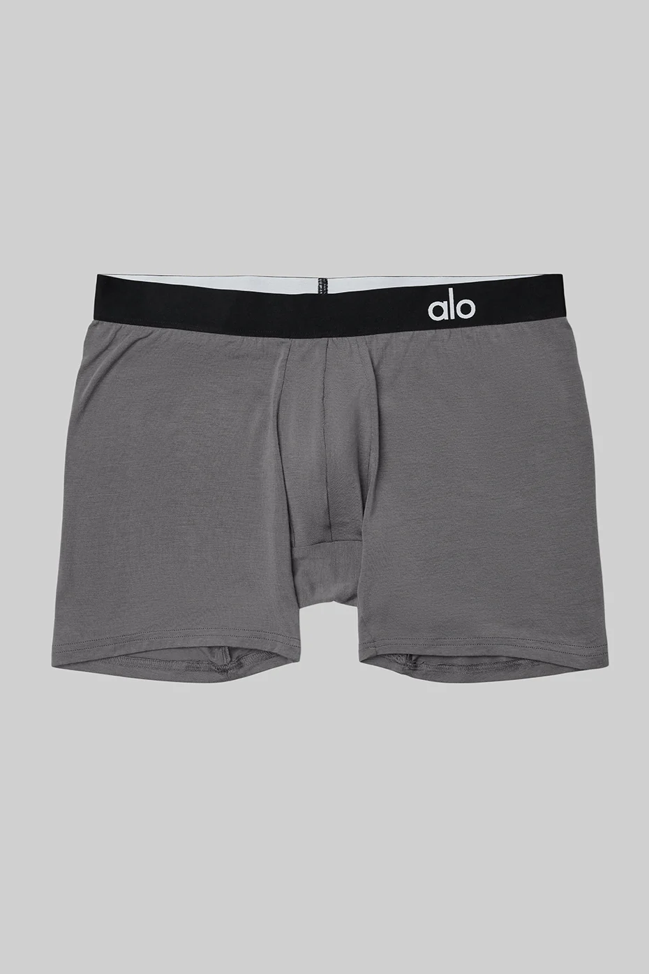 Day And Night Boxer Brief - Grey